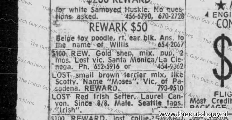 Lost dog classified, 25 August 1969, 652-5916