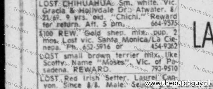 Lost dog classified, 26 August 1969, 652-5916