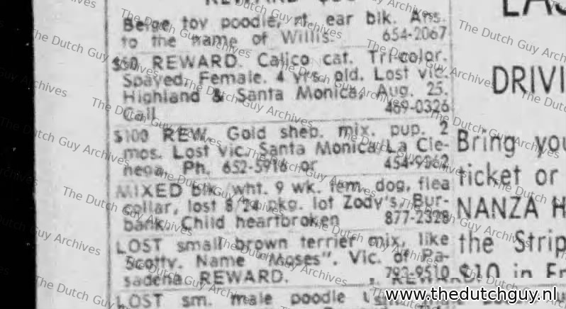 Lost dog classified, 28 August 1969, 652-5916