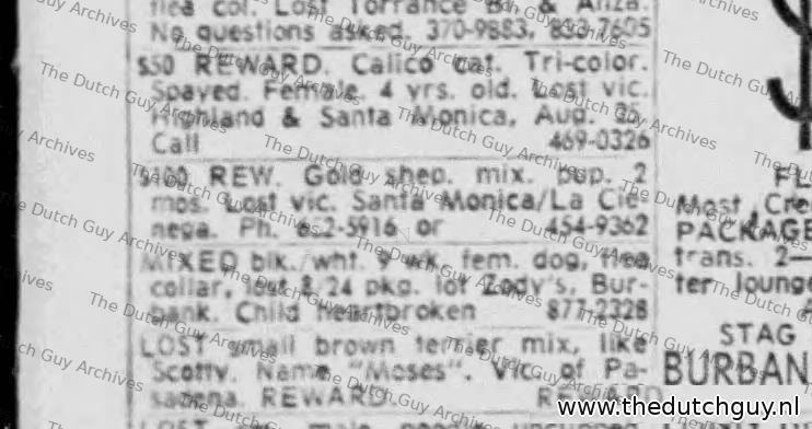 Lost dog classified, 29 August 1969, 652-5916