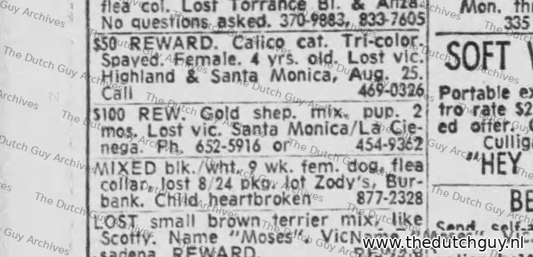 Lost dog classified, 30 August 1969, 652-5916