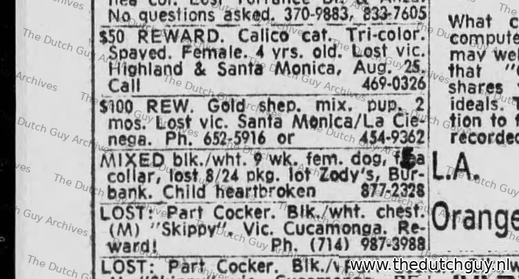 Lost dog classified, 31 August 1969, 652-5916