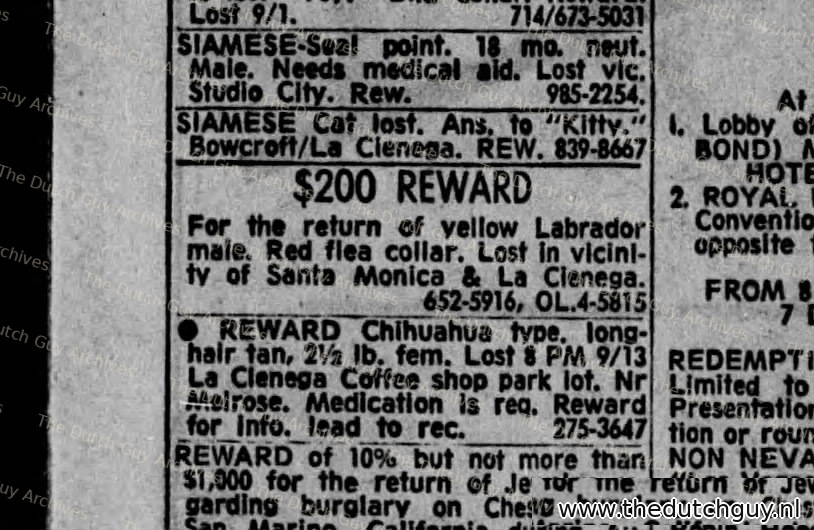 Lost yellow Labrador classified, 28 September 1970, 652-5916