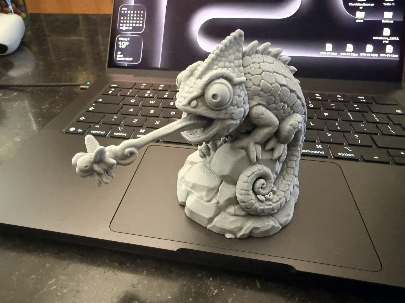 Kameleon